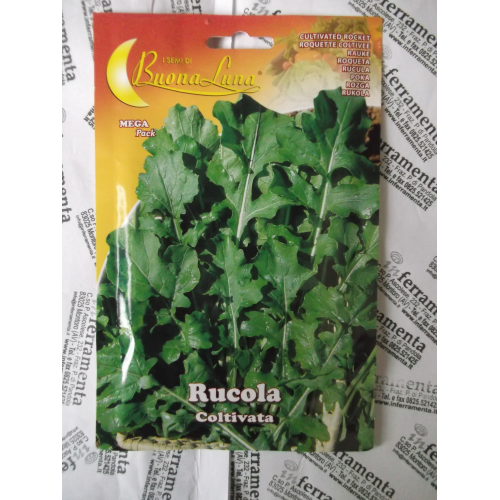 Hortus Buona Luna 13 gr semillas de cohete cultivadas siembra huerta agricultura
