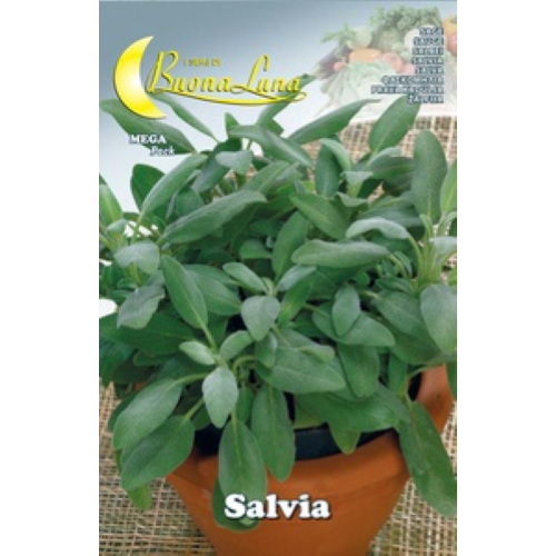 Hortus Buona Luna 3 gr semillas de salvia aroma siembra huerta agricultura