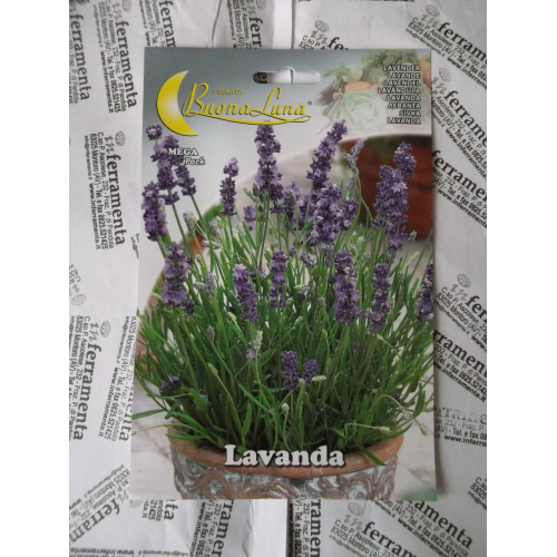 Hortus Buona Luna duftende Lavendelsamen sÃ¤en GemÃ¼segartenrasen