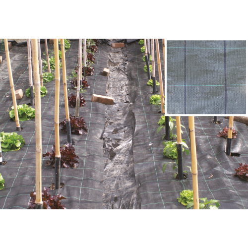 feuille en rouleau pour paillis ppl 1,05x100 mt noir pour jardin potager