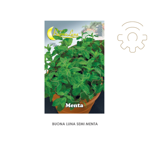 Hortus Buona Luna 0,15 gr semi di menta seminare orto giardino prato
