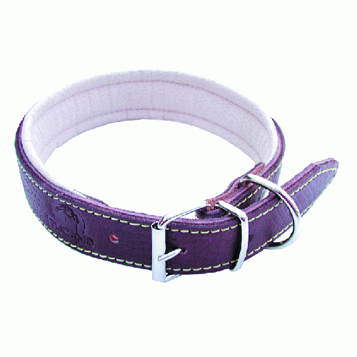 padded dog collar width 35 mm length 60 cm dog collars