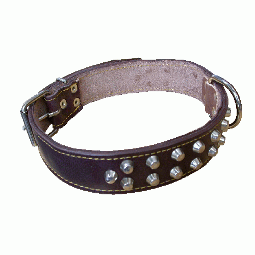dog collar in leather lined with 2 rows of studs width 30 mm length 60 cm