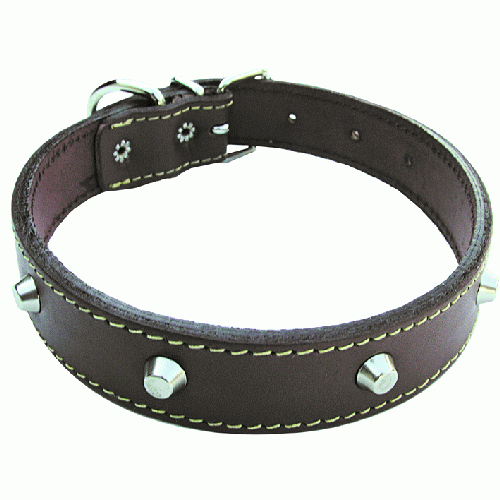 dog collar in leather lined with studs width 40 mm length 65 cm collars
