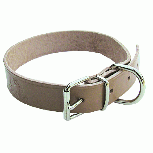 Hundefutterband aus ungefÃ¼ttertem Leder Breite 20 mm LÃ¤nge 44 cm Hundehalsband