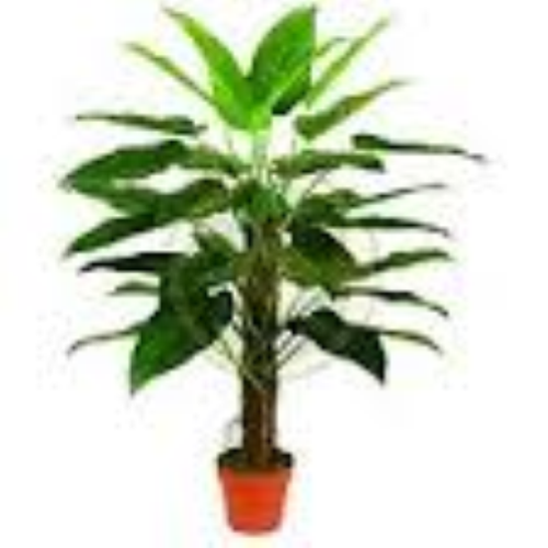gefÃ¤lschte kÃ¼nstliche Pflanze mod A209KF cm 60h Home Office Dekoration gefÃ¤lschte Pflanzen